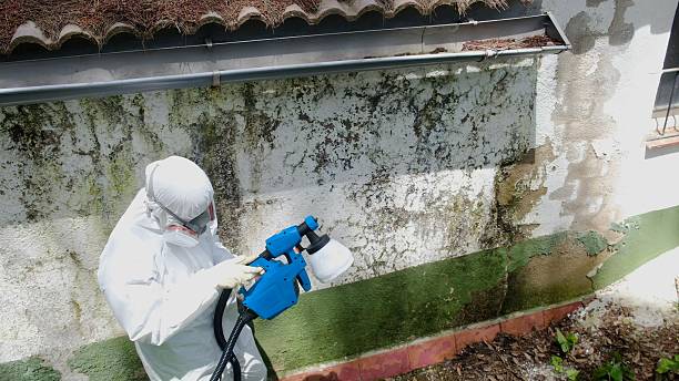 Trusted Crawl Space Mold Removal service in Oaklyn, NJ - Cheap Mold Removal